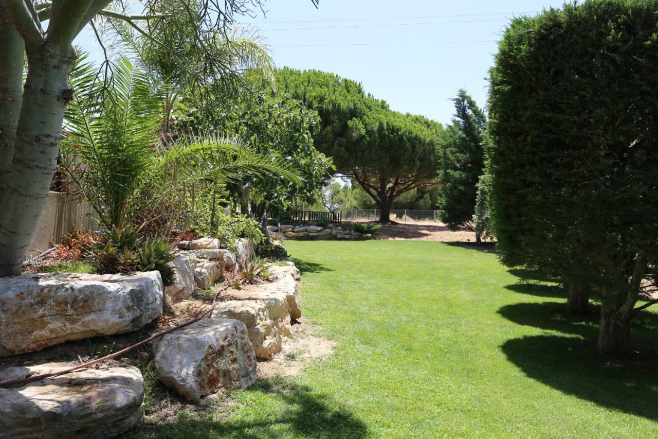 Quinta Do Pinheiro Manso - Holidays Villa - Marinha Beach Carvoeiro  Esterno foto