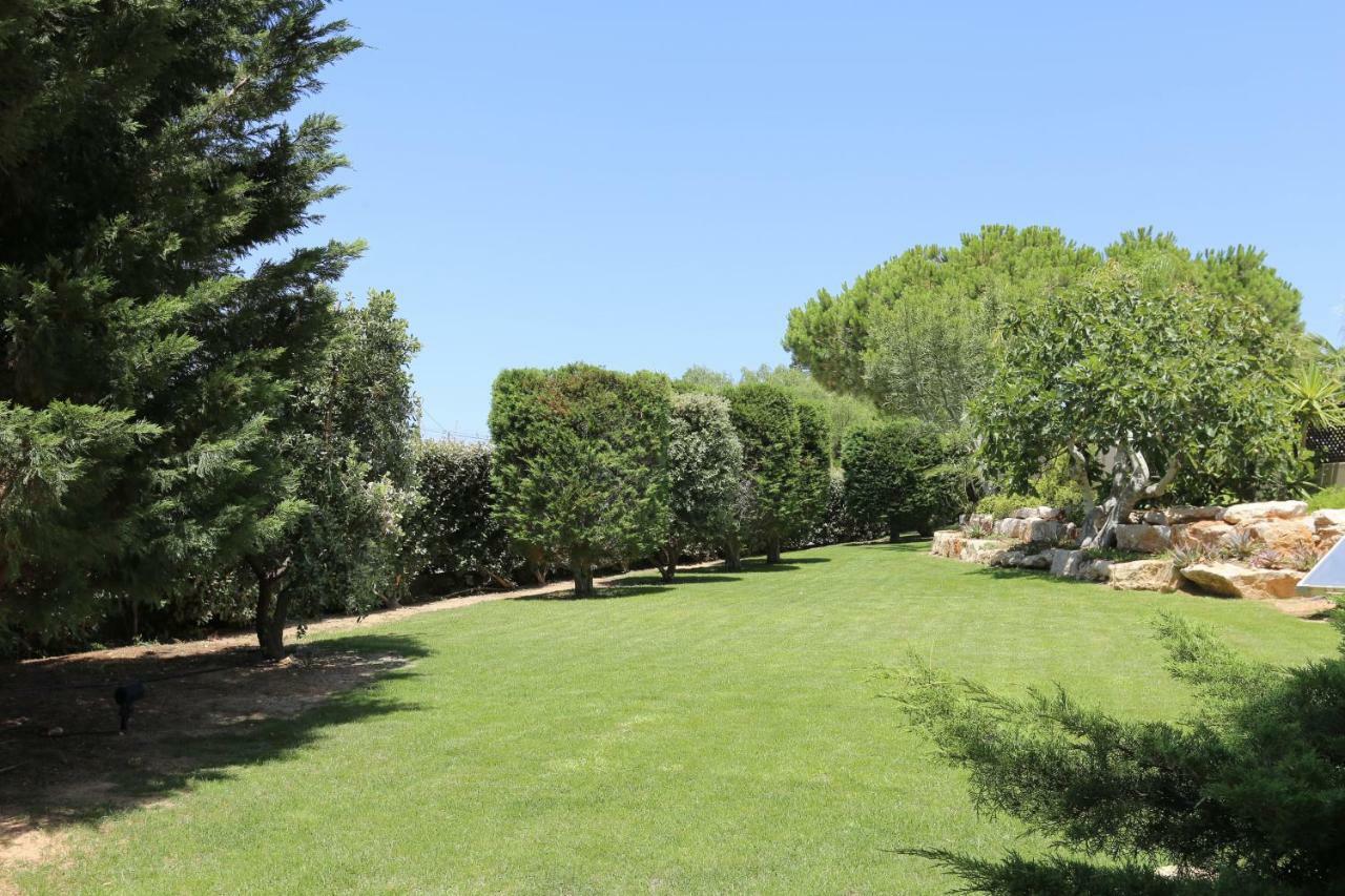 Quinta Do Pinheiro Manso - Holidays Villa - Marinha Beach Carvoeiro  Esterno foto