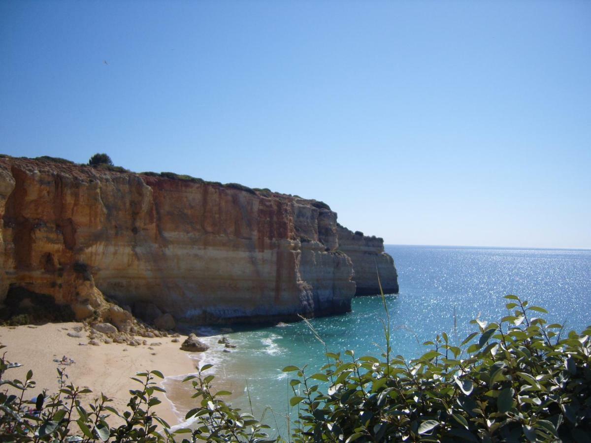 Quinta Do Pinheiro Manso - Holidays Villa - Marinha Beach Carvoeiro  Esterno foto