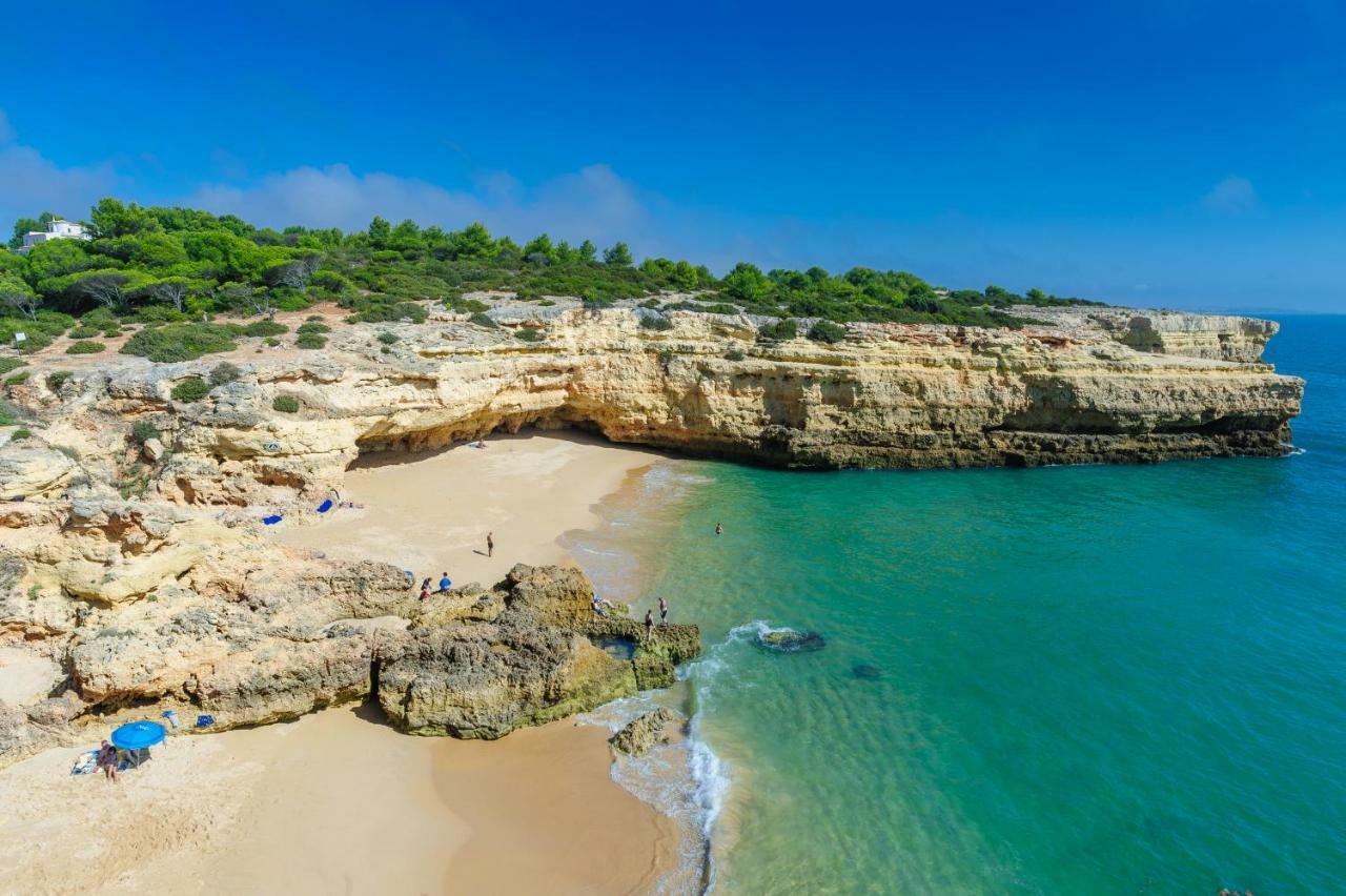 Quinta Do Pinheiro Manso - Holidays Villa - Marinha Beach Carvoeiro  Esterno foto